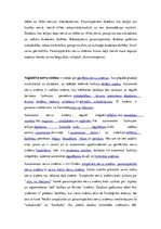 Referāts 'Veģetatīvā nervu sistēma', 4.