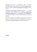 Referāts 'Veģetatīvā nervu sistēma', 5.