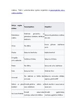 Referāts 'Veģetatīvā nervu sistēma', 11.