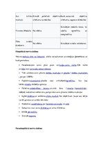 Referāts 'Veģetatīvā nervu sistēma', 12.