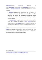 Referāts 'Veģetatīvā nervu sistēma', 14.