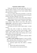 Referāts 'Organizācijas vadīšanas metodes', 1.