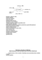 Prakses atskaite 'SIA "Žaņa Lagzdiņa maizes fabrika"', 5.