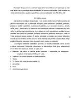 Referāts 'Eiro ieviešana Latvijā', 32.