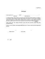 Referāts 'Studiju darbs par uzņēmējdarbības vides analīzi Rīgā', 28.