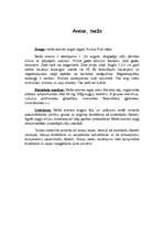 Konspekts 'Ārstniecības augi', 2.