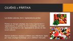Prezentācija 'Es un pārtika', 2.