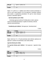 Prakses atskaite 'Prakses atskaite SIA "X" finanšu analīzē', 18.
