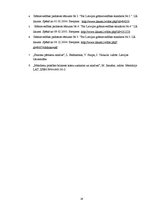 Prakses atskaite 'Prakses atskaite SIA "X" finanšu analīzē', 28.