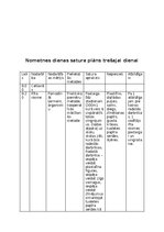 Konspekts 'Bērnu nometnes plāns', 4.