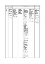 Konspekts 'Bērnu nometnes plāns', 5.