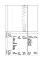 Konspekts 'Bērnu nometnes plāns', 6.