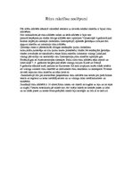 Referāts 'Latviešu rakstības izcelsme', 6.