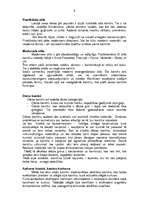 Referāts 'Kamīni, kuru izbūvē izmanto daudzveidīgus materiālus', 4.