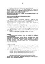 Referāts 'Kamīni, kuru izbūvē izmanto daudzveidīgus materiālus', 6.