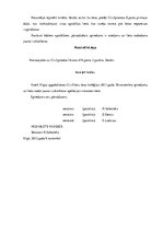 Diplomdarbs 'Darba devēja uzteikums', 77.