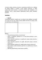 Referāts 'Uzbrukums basketbolā', 6.