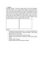 Referāts 'Uzbrukums basketbolā', 8.