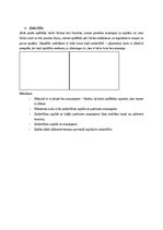 Referāts 'Uzbrukums basketbolā', 9.