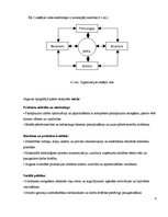 Referāts 'Jelgavas tipogrāfijas vadīšana pārmaiņas apstākļos', 9.