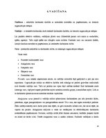 Referāts 'Jelgavas tipogrāfijas vadīšana pārmaiņas apstākļos', 16.