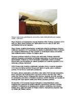 Referāts 'Seismiskās aktivitātes', 5.