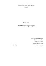 Referāts 'Kursa darbs. AS "Mintos" tirgus izpēte', 1.