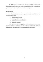 Referāts 'Kursa darbs. AS "Mintos" tirgus izpēte', 13.