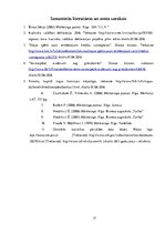 Referāts 'Kursa darbs. AS "Mintos" tirgus izpēte', 17.