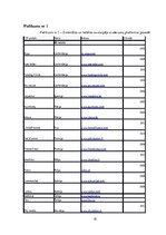 Referāts 'Kursa darbs. AS "Mintos" tirgus izpēte', 19.