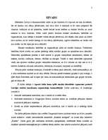 Referāts 'Mūzika, identitāte un komunikācija', 2.