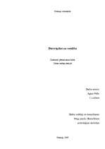 Referāts 'Datorspēles un veselība', 1.