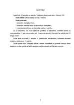 Referāts 'Datorspēles un veselība', 3.