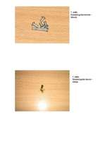 Referāts 'Kontaktligzdas ietekme uz vidi', 13.