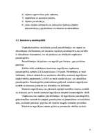 Referāts 'Pamatlīdzekļi', 6.