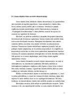 Referāts 'Pamatlīdzekļi', 11.