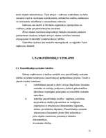 Referāts 'Pamatlīdzekļi', 12.