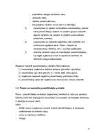 Referāts 'Pamatlīdzekļi', 13.