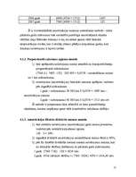 Referāts 'Pamatlīdzekļi', 17.