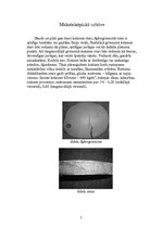 Konspekts 'Dižskabārdis', 5.