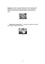 Konspekts 'Dižskabārdis', 14.