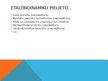 Prezentācija 'Etalons', 4.