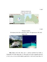 Biznesa plāns 'Biznesa plāns', 6.