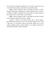 Biznesa plāns 'Biznesa plāns', 7.