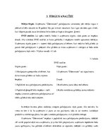 Biznesa plāns 'Biznesa plāns', 9.