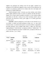 Biznesa plāns 'Biznesa plāns', 10.