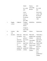 Biznesa plāns 'Biznesa plāns', 11.