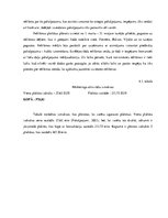 Biznesa plāns 'Biznesa plāns', 13.