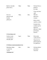 Biznesa plāns 'Biznesa plāns', 15.