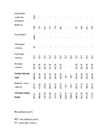 Biznesa plāns 'Biznesa plāns', 21.